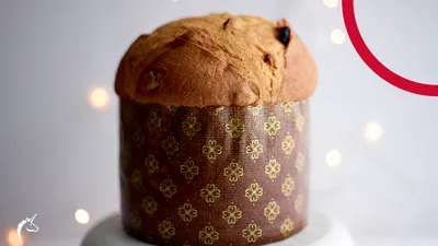 Classic Panettone with Sourdough