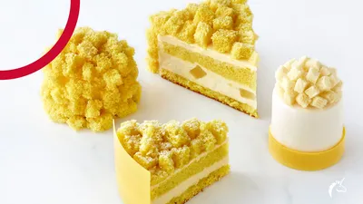 The Mimosa Cake: putting women and mothers in the spotlight