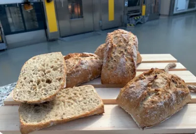 Puravita Fibre + Loaf