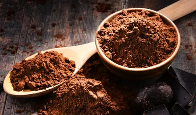 Belcolade Premium Cocoa Powder Cacao-Trace