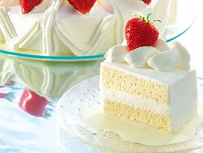Tegral Dulcerio Sponge Cake Mix