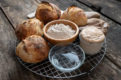 Gourmet Sourdough Rolls