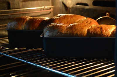 Chocolate Brioche