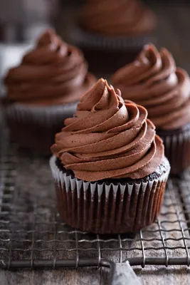 Chocolate Ganache Cupcakes