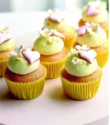 Plant-based Cupcake